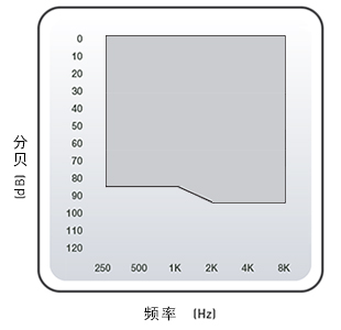 瑞克式助聽器 RIC