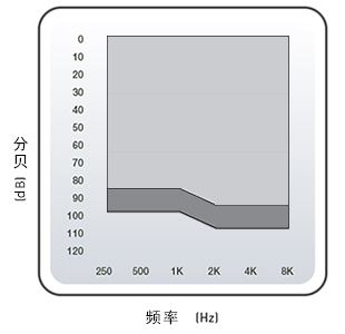 耳道式助聽(tīng)器 CC